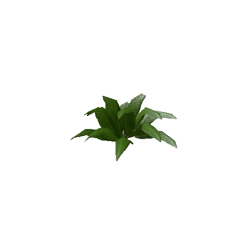 Tropical Plant 1 (Type 3)